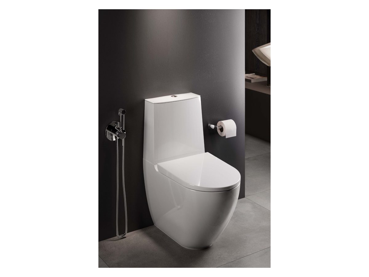Rimless WC Pan